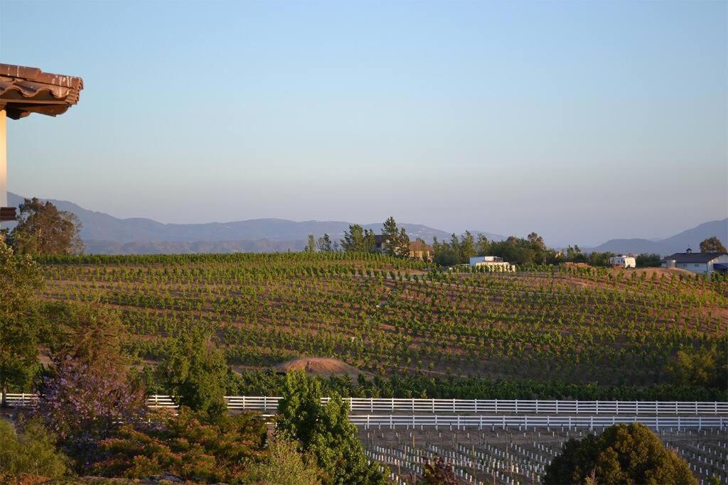 Que Syrah Temecula - Villa With 9 Bedroom 7 Ba With Spa In Wine Country Luaran gambar